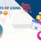 Top 10 Benefits of Using Localo for Your Business Listing Optimization